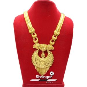 Golden Plated Long Rani Haar (Necklace)