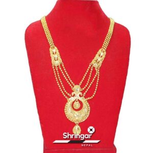 Gold Plated Long Rani Haar (Necklace)