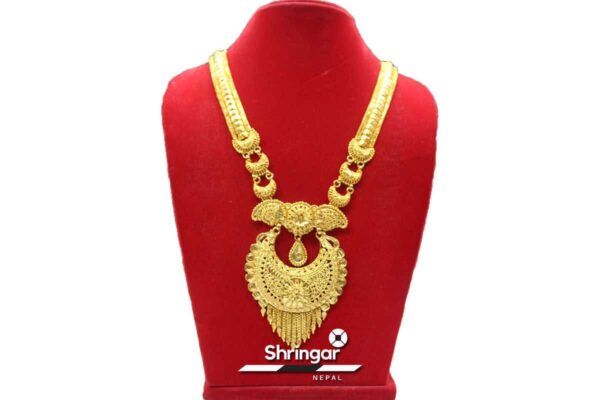 Golden Plated Long Rani Haar (Necklace)