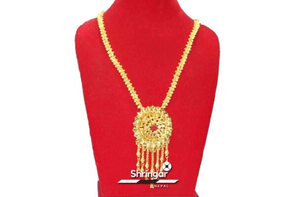 Gold Plated Long Rani Haar (Necklace)