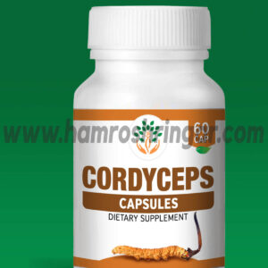 Featured image for “Bio Foods Cordyceps 60 Capsules”