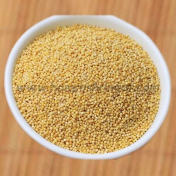 Barnyard Millet Processed - 500 g