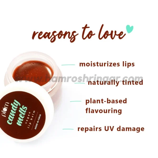 Plum Candy Melts Vegan Lip Balm - Mint-o-Coco - Reason to Love