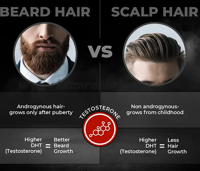 Beardo Beard & Hair Growth Oil - 50 ml - Online Shopping in Nepal | Shringar Store | Shringar Shop | Cosmetics Store | Cosmetics Shop | Online Store in Nepal Beardo Beard & Hair Growth Oil - 50 ml - Online Shopping in Nepal | Shringar Store | Shringar Shop | Cosmetics Store | Cosmetics Shop | Online Store in Nepal