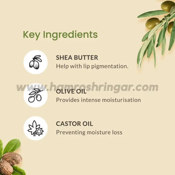 Earth Rhythm Organic Lip Butter - Key Ingredients