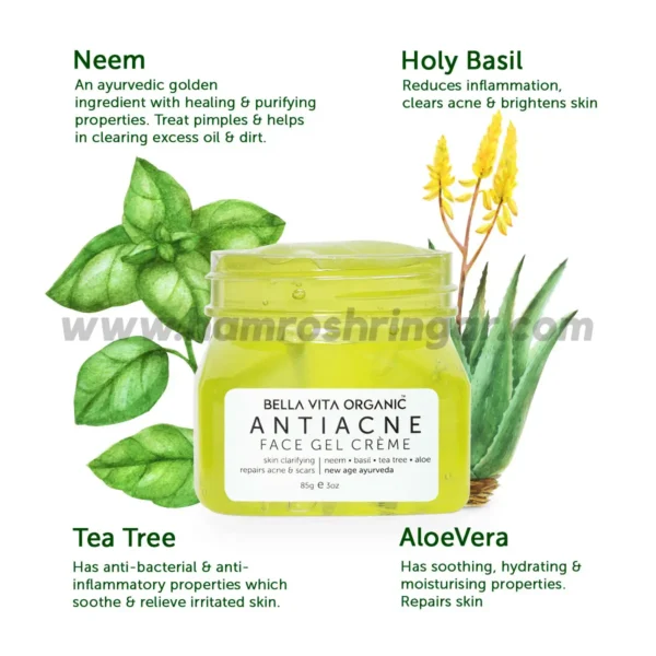 Bella Vita Organic Anti Acne Face Gel with Neem, Tulsi & Aloe Vera - Ingredients
