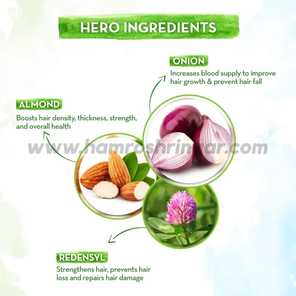 Mamaearth | Onion Hair Oil for Hair Regrowth and Hair Fall Control with Redensyl - Ingredients