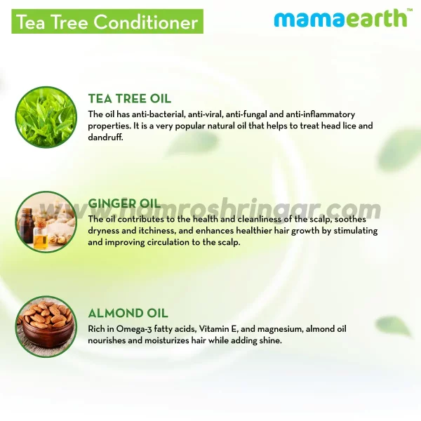 Mamaearth | Tea Tree Conditioner with Tea Tree and Ginger Oil for Dandruff Free Hair - Ingredients