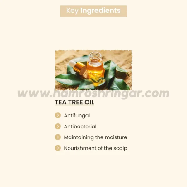 ALZIBA CARES Anti Dandruff Shampoo With Tea Tree Oil & Salicylic Acid (Soothing Scalp Therapy) - Key Ingredients